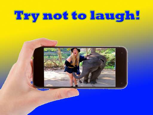 Funny videos try not to laugh ﻿🤣😀 screenshot 8