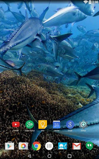 Panorama Wallpaper: Diving screenshot 6
