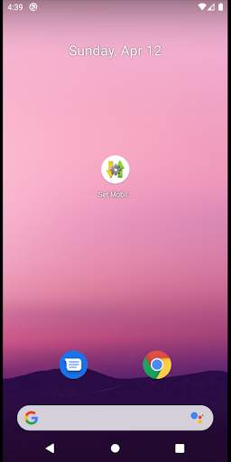 Set Mobile Data screenshot 2