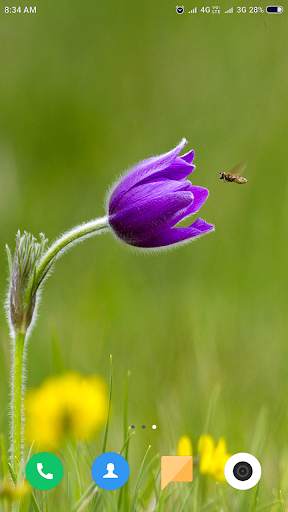 Macro Wallpaper HD screenshot 16