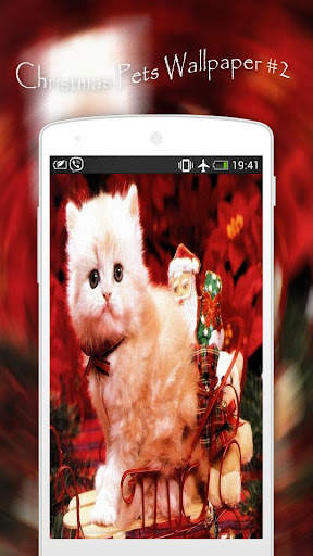 Christmas Pets Wallpapers screenshot 3