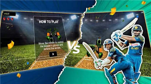 Cricket Bowler screenshot 4