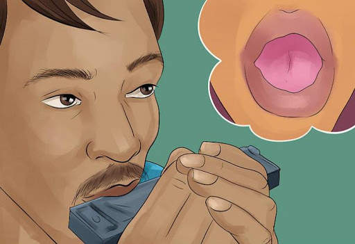 How to play the harmonica screenshot 2