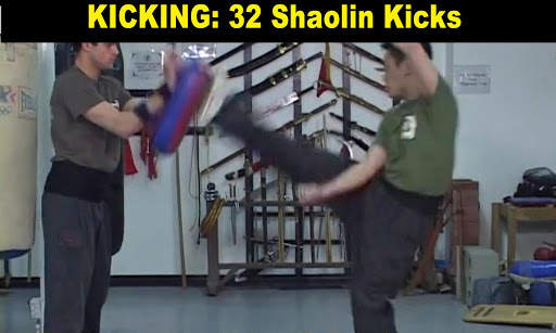 Shaolin Kung Fu screenshot 15
