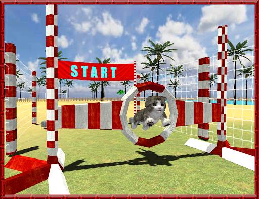 Cat Dog Pets Beach Stunts Sim screenshot 11