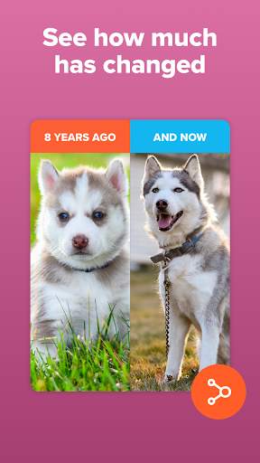 Timehop - Memories Then & Now screenshot 3