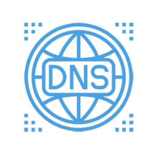 DNS Record Lookup 2.0