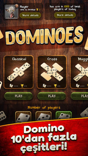 Domino screenshot 4