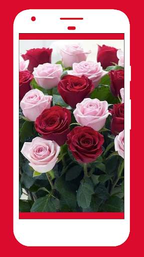 Rose Wallpapers screenshot 3