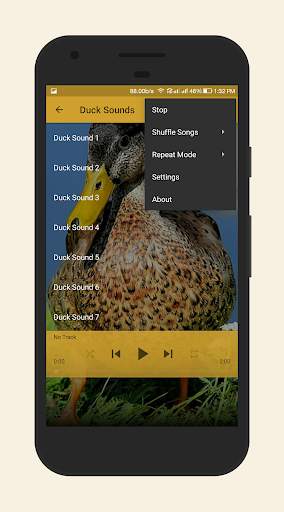 Duck Sounds screenshot 4