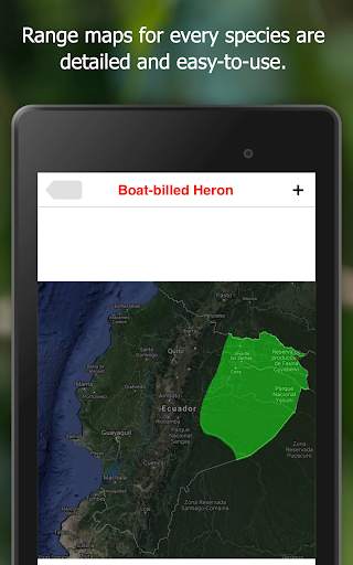 Birds of Ecuador screenshot 13