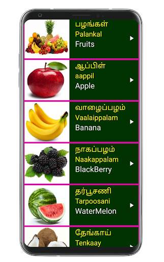 Learn Tamil From English скриншот 7