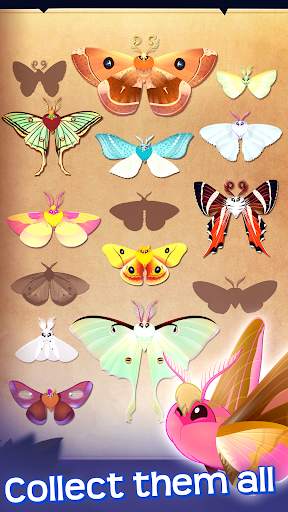 Flutter: Starlight screenshot 1