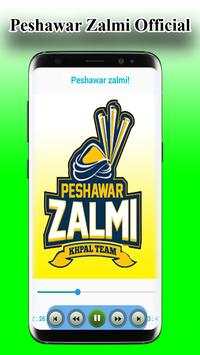 PSL 2019 Offline Official Songs screenshot 14