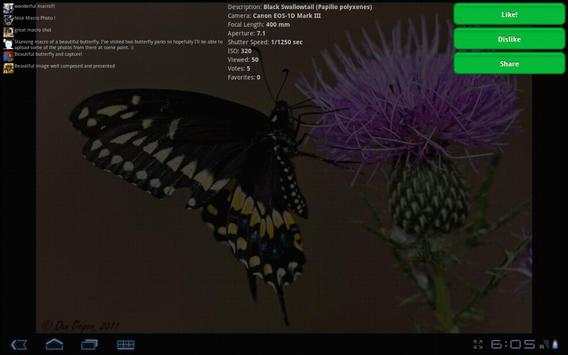 500px Land screenshot 5