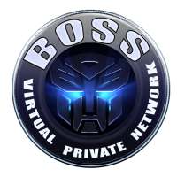 B O S S SNOW