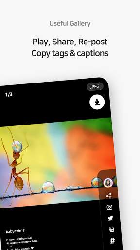 Downloader for Instagram : SnapDown Pro screenshot 3