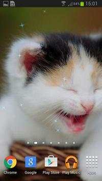 Super Lovely Cat - Free, Funny screenshot 3