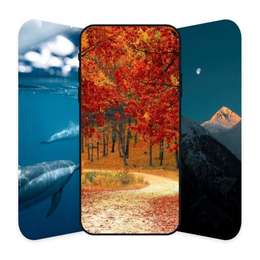 Hd Wallpapers 1.2