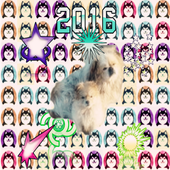 Pop Funny Dog icon