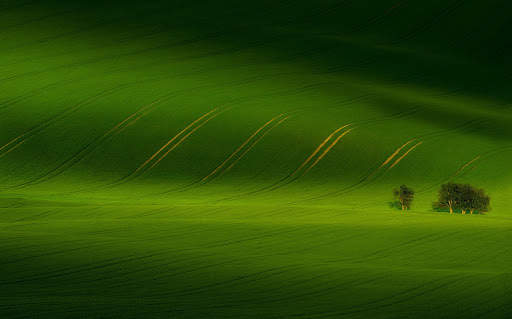 Green Wallpapers | hd backgrounds screenshot 19