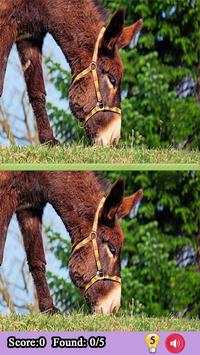 Spot Differences Between Two Pictures Game screenshot 5