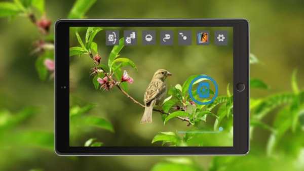 Original HD Camera Selfie Pro 5 تصوير الشاشة