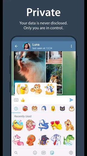 Telephone Messenger screenshot 3