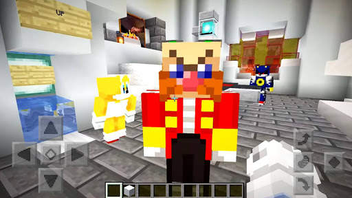 Sonic Skin & Maps For MINECRAFT PE screenshot 2