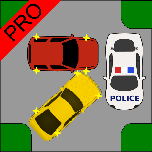 Driver Test: Crossroads Pro icon