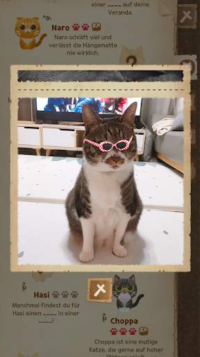 Secret Cat Forest screenshot 6