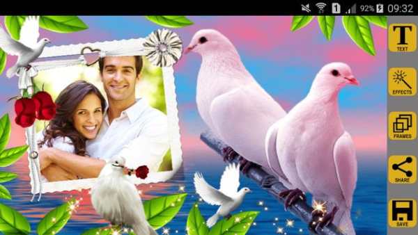 Love Birds Photo Frames screenshot 1