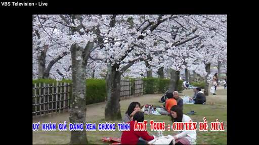 VBS Television - Vietnamese TV screenshot 2