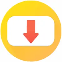 Online Video Downloader