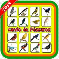 Canto de Pássaros offline logo