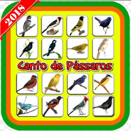 Canto de Pássaros offline 1.0