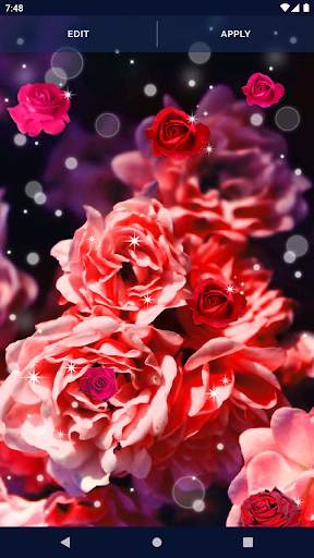 Elegant RedRose Live Wallpaper screenshot 5
