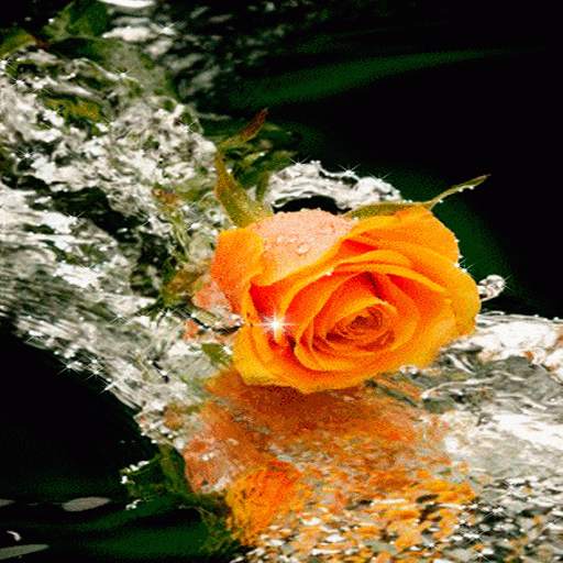 Lovely Yellow Rose LWP 3