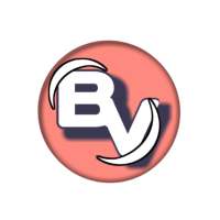 Basic VPN logo