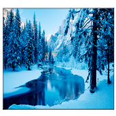 Winter icon