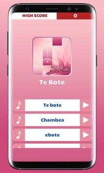 Te Bote Piano Tiles screenshot 1