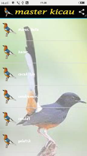 Master Birds song स्क्रीनशॉट 1