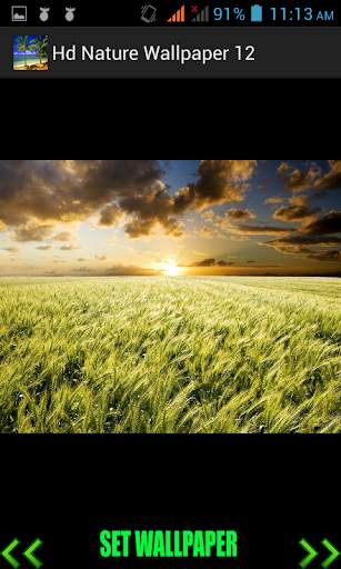 Hd Nature Wallpaper screenshot 1