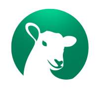 Lambing Planner