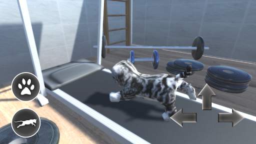 Cat Simulator 🐱 3D screenshot 3