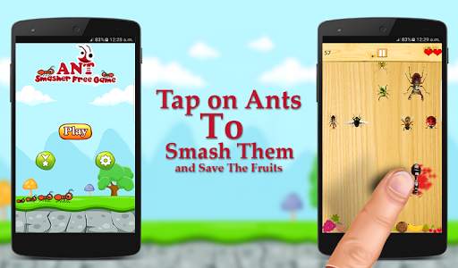 Ant Smasher Game screenshot 7
