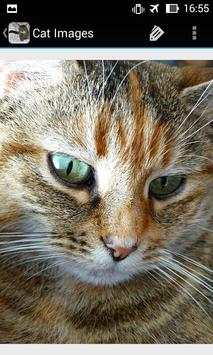 CatBG: Cat Wallpapers screenshot 6