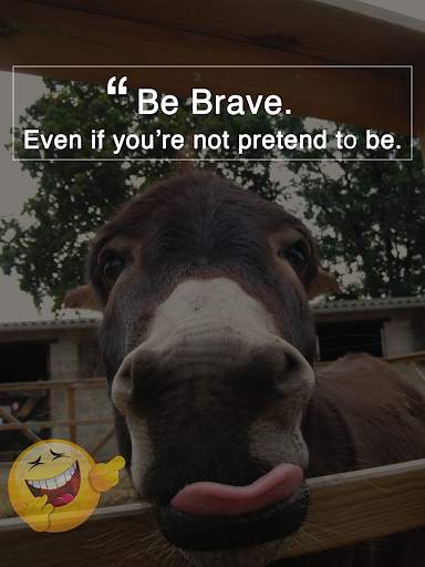 Funny Quotes - Free 2019 Quotes screenshot 3