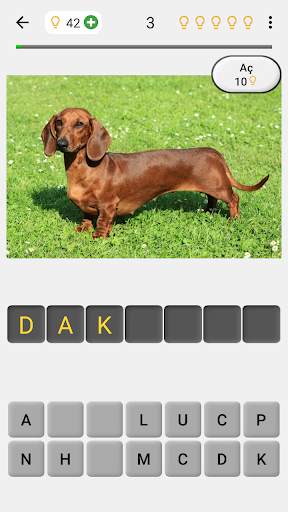 Köpekler - Tüm köpek ırkları hakkında Foto-Sınav screenshot 2