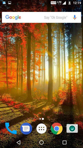 Autumn Wallpaper HD screenshot 4